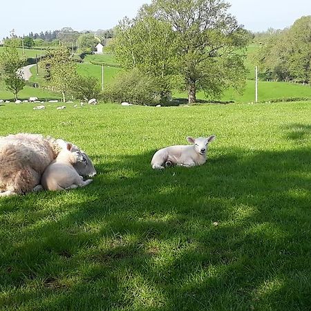 Ewe Retreat Shepherds Hut Hereford Exterior photo
